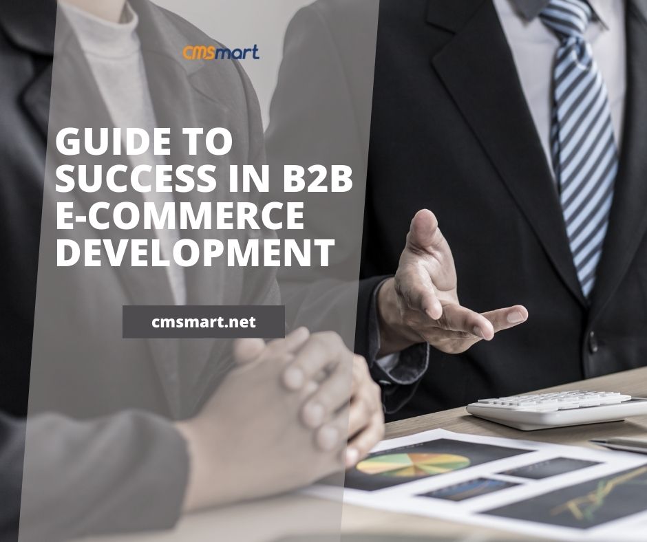 Guide To Success in B2B E-commerce Development